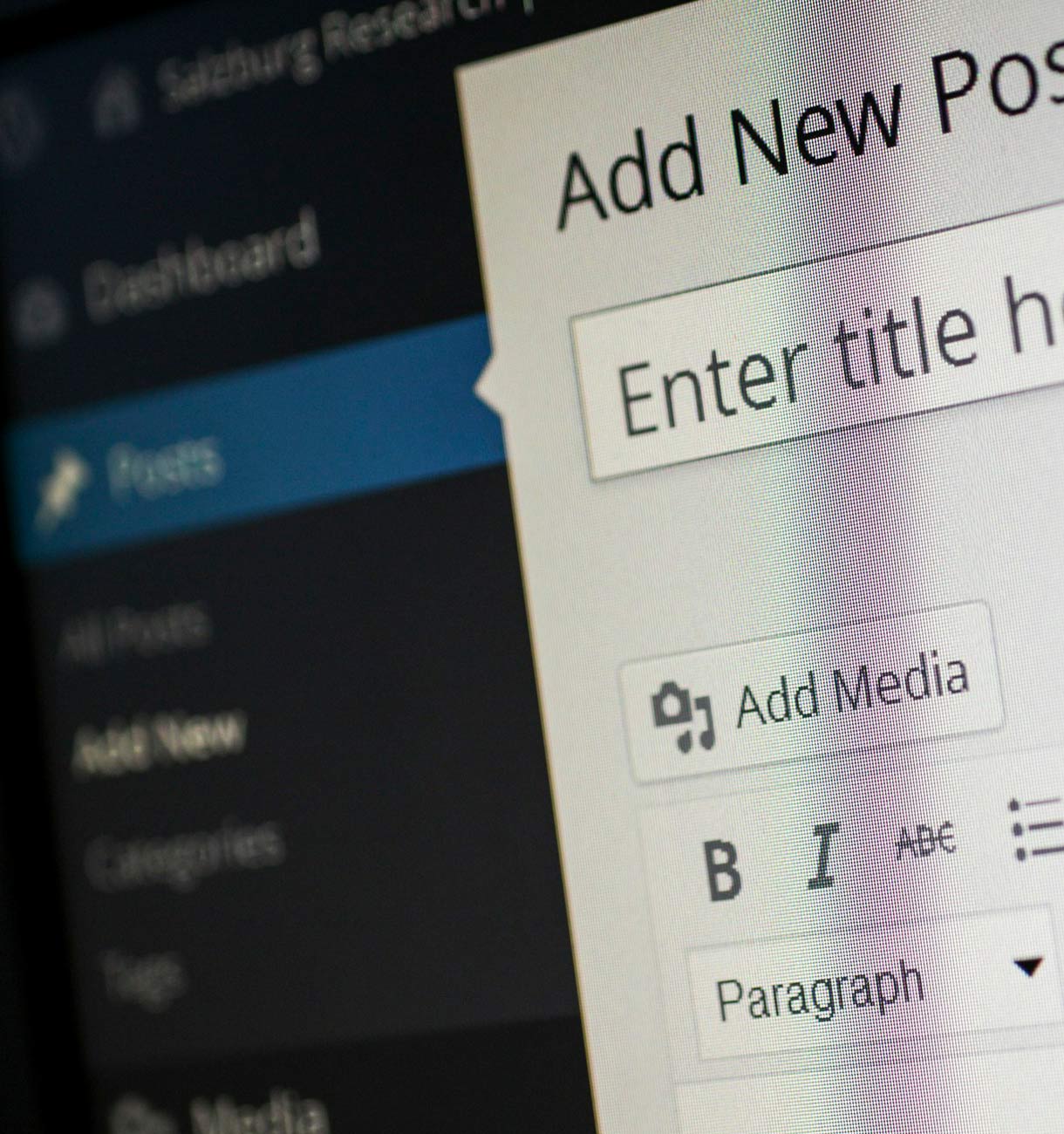 visuel backfont wordpress