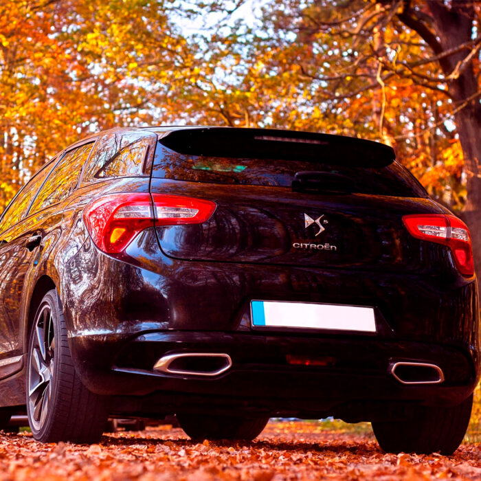 citroen voiture DS